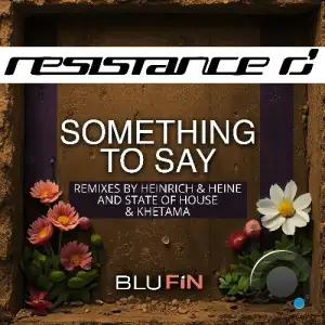 Resistance D - Something to Say (The Remixes) (2025)