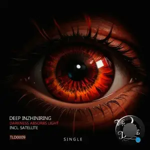 Deep Inzhiniring - Darkness Absorbs Light (2025)