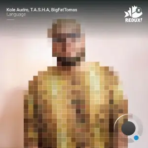 Kole Audro, T.A.S.H.A & BigFatTomas - Language (2025)