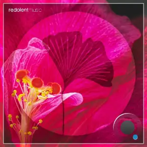 Novalima - La Danza Remixes (2025)