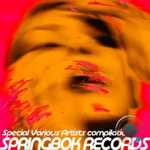 Special Various Artists Compilation Springbok Records (2025)
