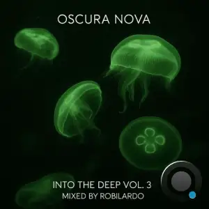 Into The Deep Vol. 3 (Mixed by Robilardo) (2025)