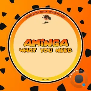 Aminga - What You Need (2025)