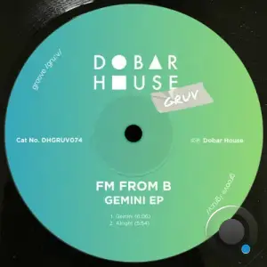 FM From B - Gemini (2025)