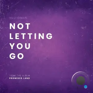 AudioMan - Not Letting You Go (2025)