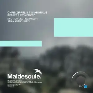 Chris Zippel & Tim Angrave - Remixes Reworked (2025)