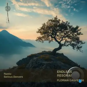 Florian Gasperini - Endless Resonance (2025)