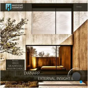 Dianarp - External Insight (2025)