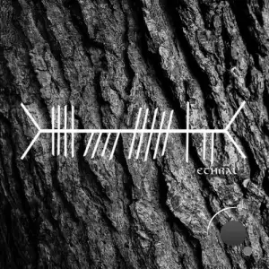 Lucas Silvero - Within the Whole (2025)