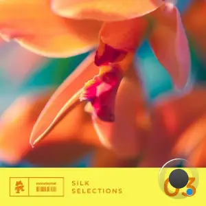Silk Selections 03 (2025)