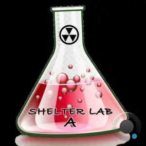 Timmy Regisford - Shelter Lab 9 A (2025)