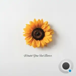 Dsd - Would You Feel Better (2025)