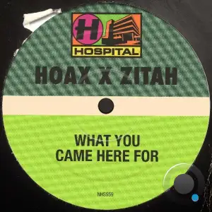 Hoax & Zitah - What You Came Here For (2025)