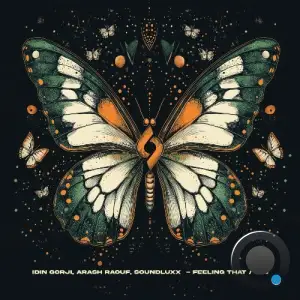 Idin Gorji & Soundluxx - Feeling That / 404 (2025)