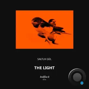 Saltuk Gül - The Light (2025)