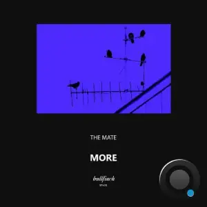 The Mate - More (2025)