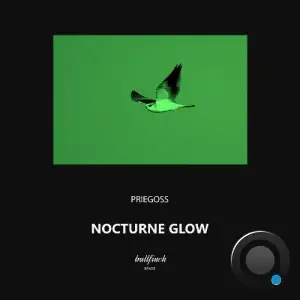 Priegoss - Nocturne Glow (2025)