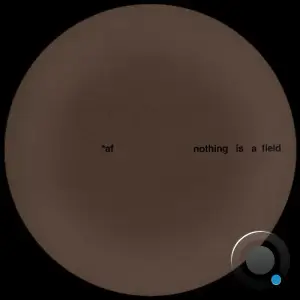 Adam Feingold - Nothing Is a Field (2025)