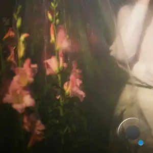 Dj Heartstring - Back To My Love (2025)