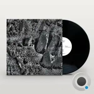 Coaxial System - Institut Night Edt. (2025)