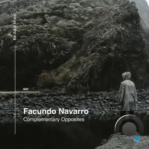 Facundo Navarro - Complementary Opposites (2025)