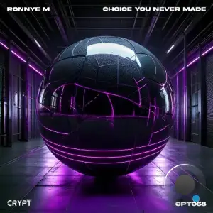 Ronnye M - Choice You Never Made (2025)