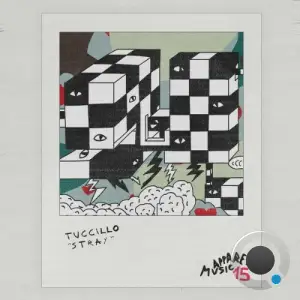 Tuccillo - Stray (2025)