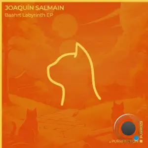 Joaquín Salmain - Baahrt Labyrinth (2025)