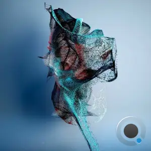 TWiiNS - Confusion Of A Lady (2025)