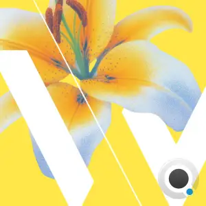 Magit Cacoon - W Berlin 048 (2025-06-26)
