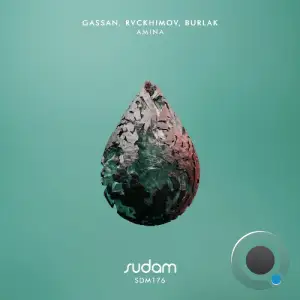 Gassan, DJ DIANELLA, Rvckhimov - Amina (2025)