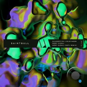 Saintbull - Shadows On a Blue Moon (2025)
