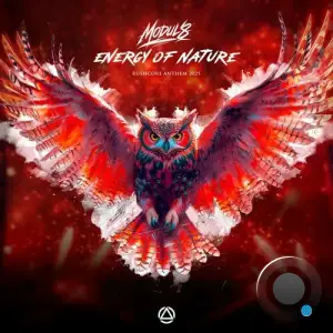 Modul8 - Energy Of Nature (Rushcore 2025 Anthem) (2025)