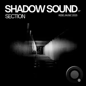 Section - Shadow Sound (2025)