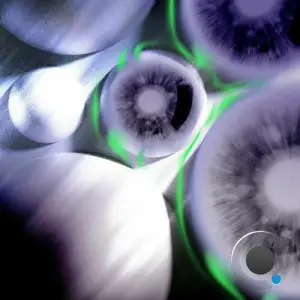 Ekata - Split (2025)