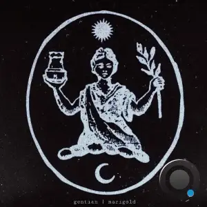 Gentian - Marigold (2025)