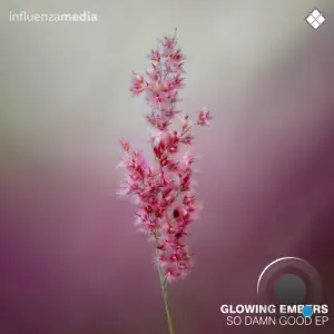 Glowing Embers - So Damn Good (2025)