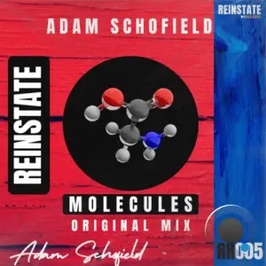 Adam Schofield - Molecules (2025)