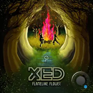 Xed - Flamelike Flower (2025)