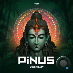 Pinus - Shiva Valley (2025)