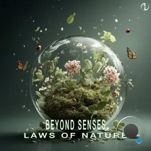 Beyond Senses - Laws Of Nature (2025)
