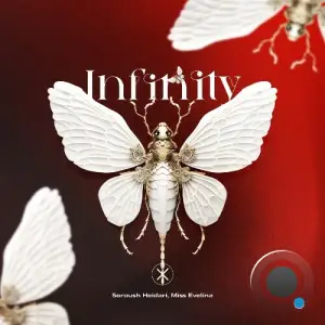 Soroush Heidari, Miss Evelina - Infinity (2025)