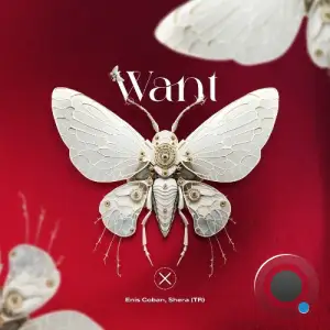 Enis Coban, Shera (TR) - Want (2025)