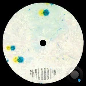 SL Jung - Coherence (2025)