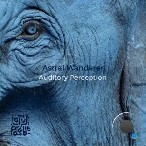 Astral Wanderer - Auditory Perception (2025)