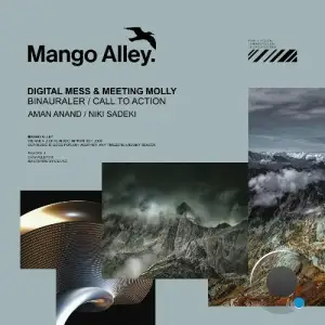 Digital Mess & Meeting Molly - Binauraler / Call to Action (2025)