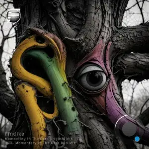 Findike - Momentary in the Dark (2025)