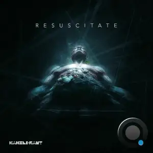 Ray Kajioka, Heiko Laux - Resuscitate (2025)