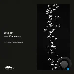 Boycott - Frequency (2025)
