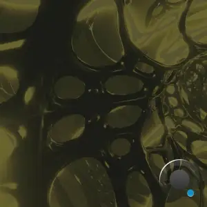 Focalin - The World Over (2025)